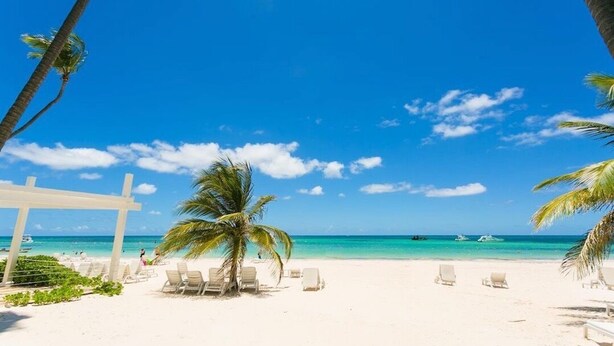 Ein Strand mit weißem Sand, Palmen und blauem, wolkenlosem Himmel.