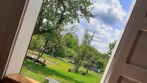A view from a room's open door to a grassy outdoor area with trees and a clear sky. - Sejour Farm Casa Mountain Sanctuary (Rosia Montana)