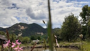 A river with a small bridge, surrounded by greenery and hills in the background. - Sejour Farm Casa Mountain Sanctuary (Rosia Montana)