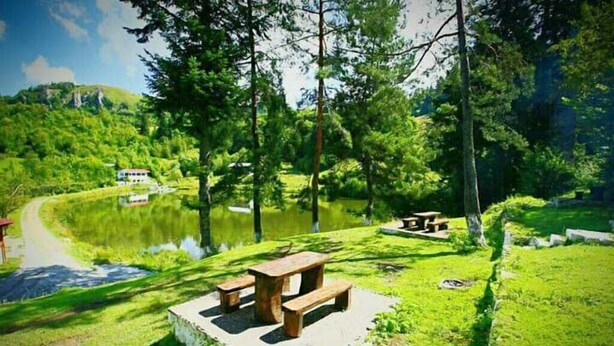 A mountain sanctuary with picnic tables and a pond. - Sejour Farm Casa Mountain Sanctuary (Rosia Montana)