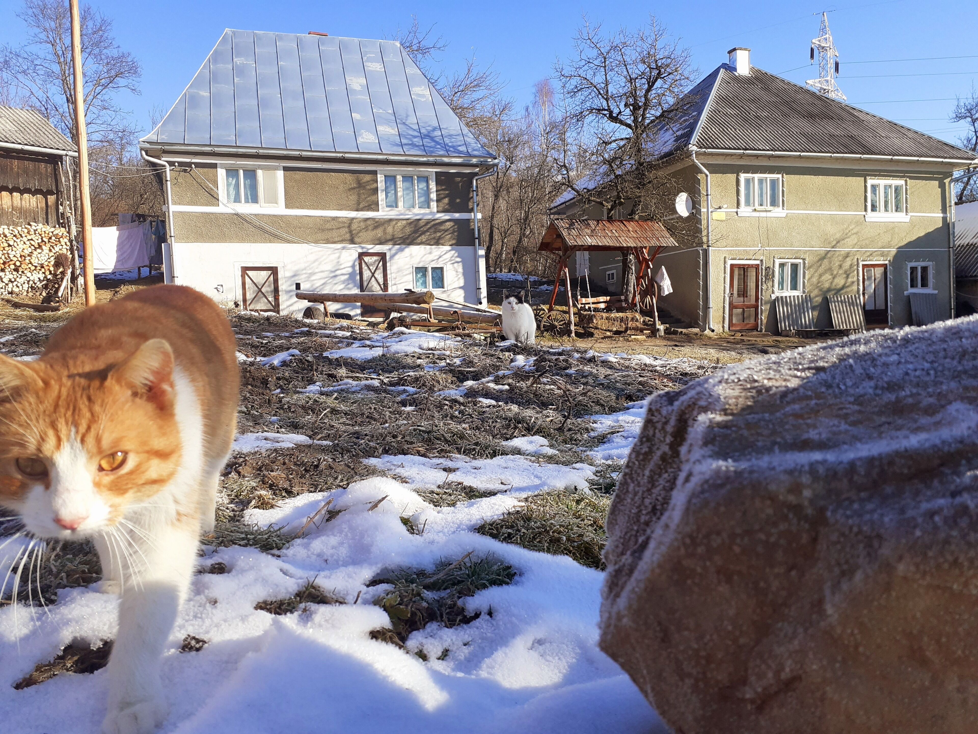 Triple Room | In-room safe, bed sheets