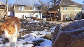 Triple Room | In-room safe, bed sheets