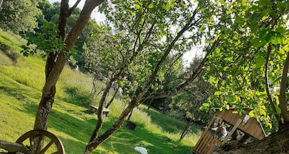 Sejour Farm Casa Mountain Sanctuary