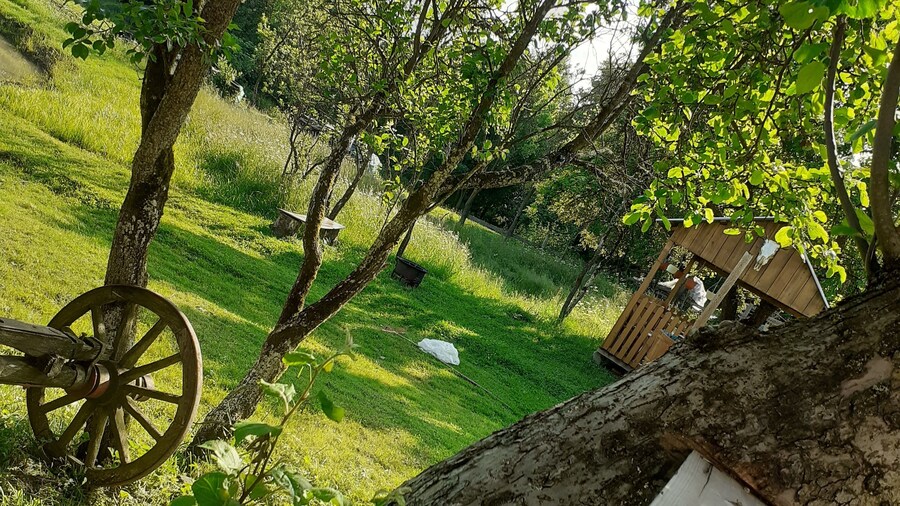 Sejour Farm Casa Mountain Sanctuary