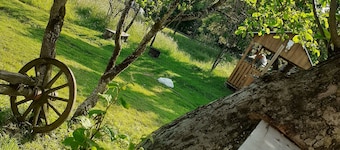 Sejour Farm Casa Mountain Sanctuary