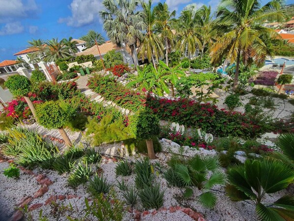 Terrein van de accommodatie