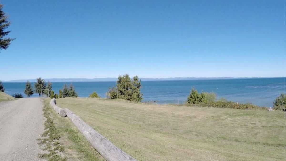 A coastal road with grassy areas and trees, leading to a body of water.