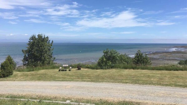 A grassy area with a view of the sea and a few trees.