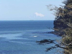 A coastal view with a clear sky, calm sea, and a rocky cliff with sparse vegetation. - Ocean View Tent Site T4 (Port Angeles)