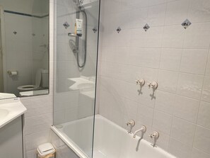 Combined shower/bathtub, jetted bath, hair dryer, towels