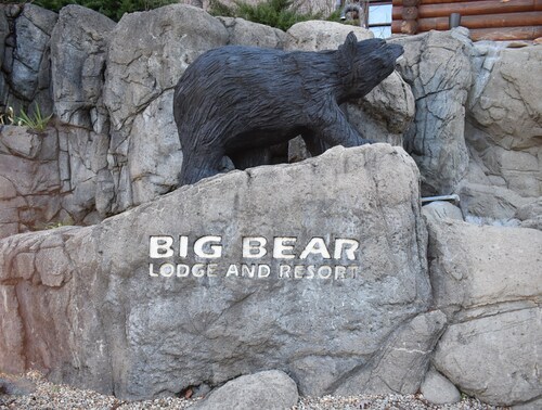Bear Elegance in the Heart of Pigeon Forge