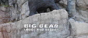 Bear Elegance in the Heart of Pigeon Forge