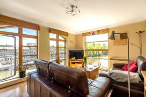 Televisión, reproductor de DVD y libros 