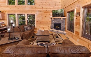 TV, fireplace, video games, DVD player