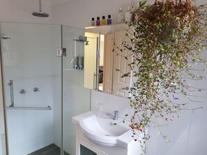 Shower, jetted tub, hair dryer, towels