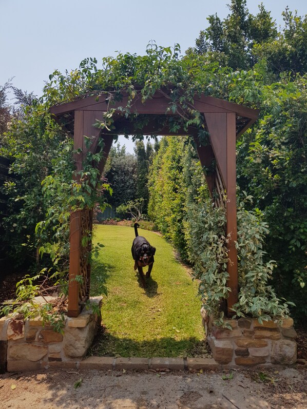 A garden with a wooden pergola, a dog walking through, and a stone wall. - Relax and Enjoy a little bit of Sanctuary in Jervis Bay (Sanctuary Point)