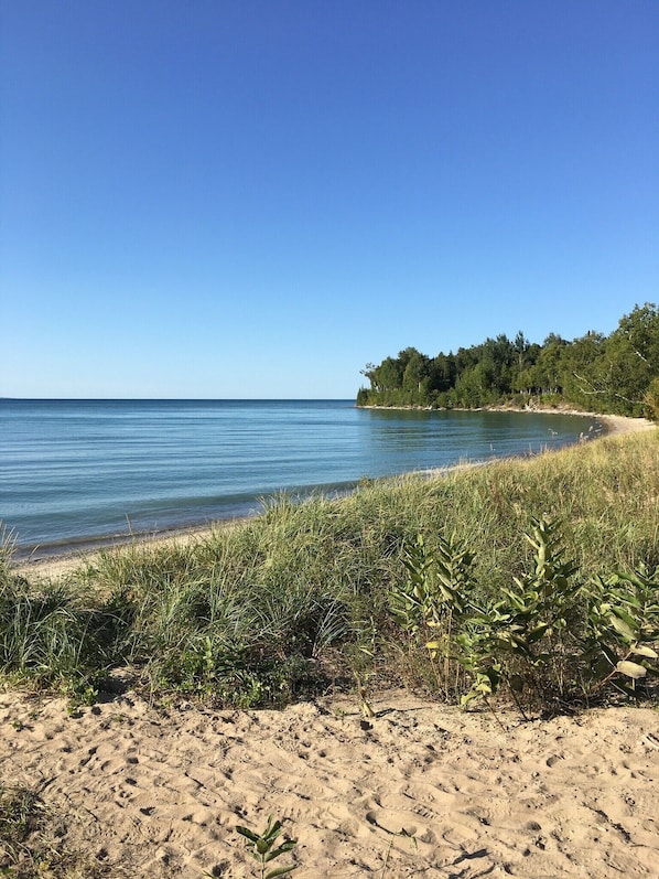 A beach with clear blue water, sandy shore, and dense greenery in the background.