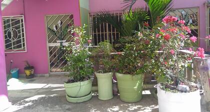 CASA APARTMENT BUGAMBILIA is billed