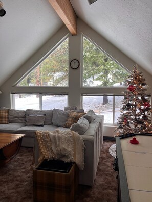 Smart TV, fireplace, video games, DVD player