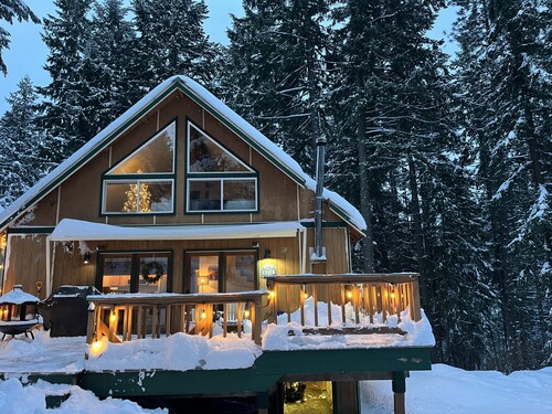 Cozy Evergreen Cabin