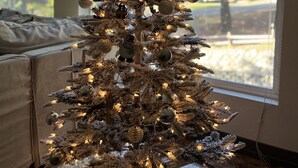 A Christmas tree with lights and ornaments in a room with large windows and a couch.