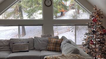 TV connectée, cheminée, jeux vidéo, lecteur de DVD