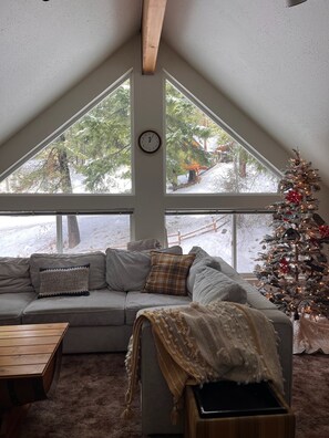 Smart TV, fireplace, video games, DVD player