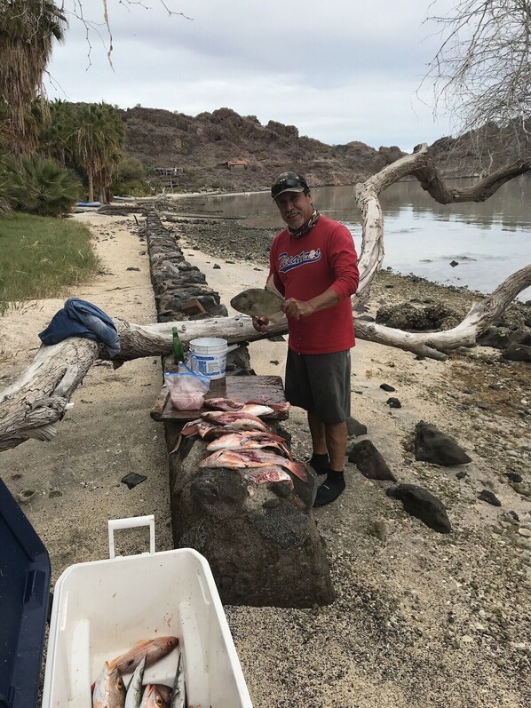 Un hombre sostiene un pez cerca de un muelle, con varios otros peces extendidos sobre el suelo.