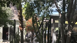 Ein Innenhof mit Kakteen, einer Pergola und einer Treppe, die zu einem überdachten Bereich führt.