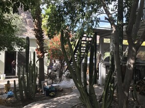 Área da propriedade