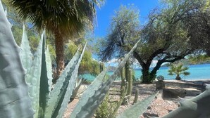 Ein Garten mit großen Agaven, einer Palme und Blick auf das Meer.