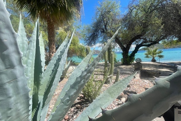 On the beach, sun-loungers, beach towels