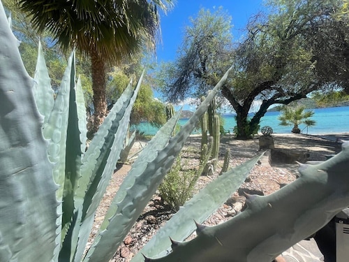 Fly to Loreto, Beach front 4 bdr, 3 king suites! Coyote Beach, Concepcion Bay