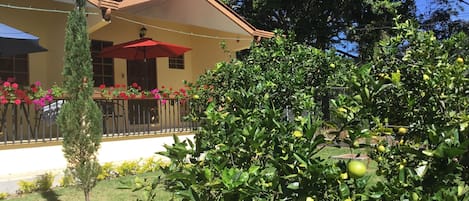 Jardin