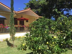 Ein Haus mit einem Balkon, einem roten Sonnenschirm und einem Zitronenbaum im Garten.