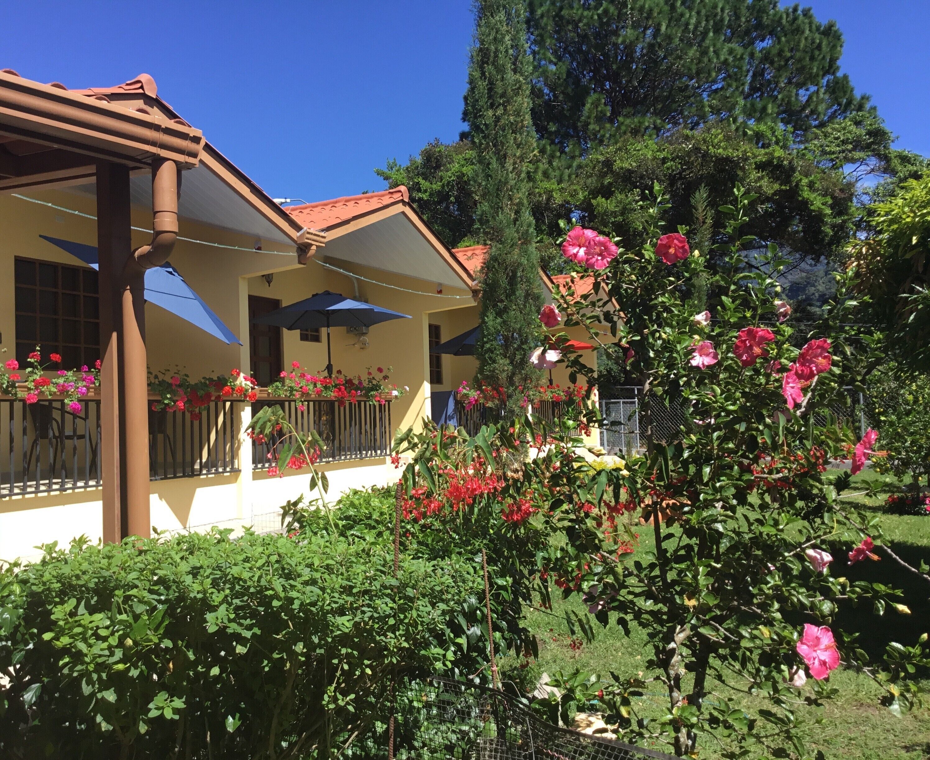 Comfort Apartment, 1 Queen Bed, Non Smoking, Kitchen | Terrace/patio