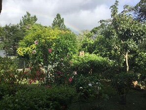 Vue sur le jardin