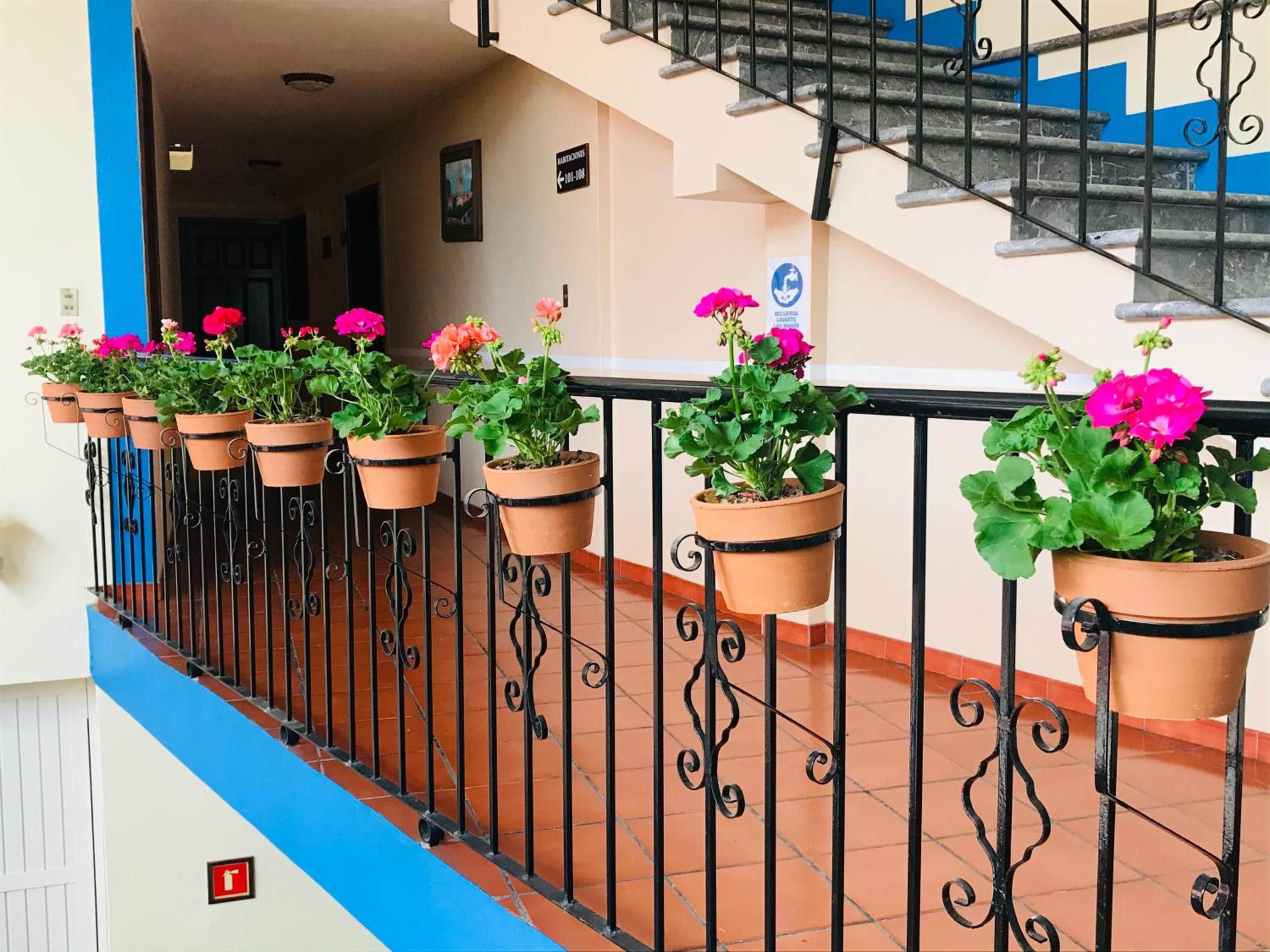 Photo - Hotel Camino de Villaseca