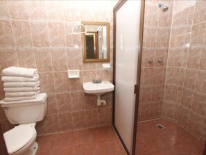 A bathroom with a toilet, sink, and shower stall. - Hotel Camino de Villaseca (Guanajuato)