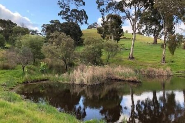 A serene landscape with a pond surrounded by trees and grassy areas. - Luxurious, Secluded & Such Views!!! OCRE is Simply Stunning! (Hindmarsh Valley)