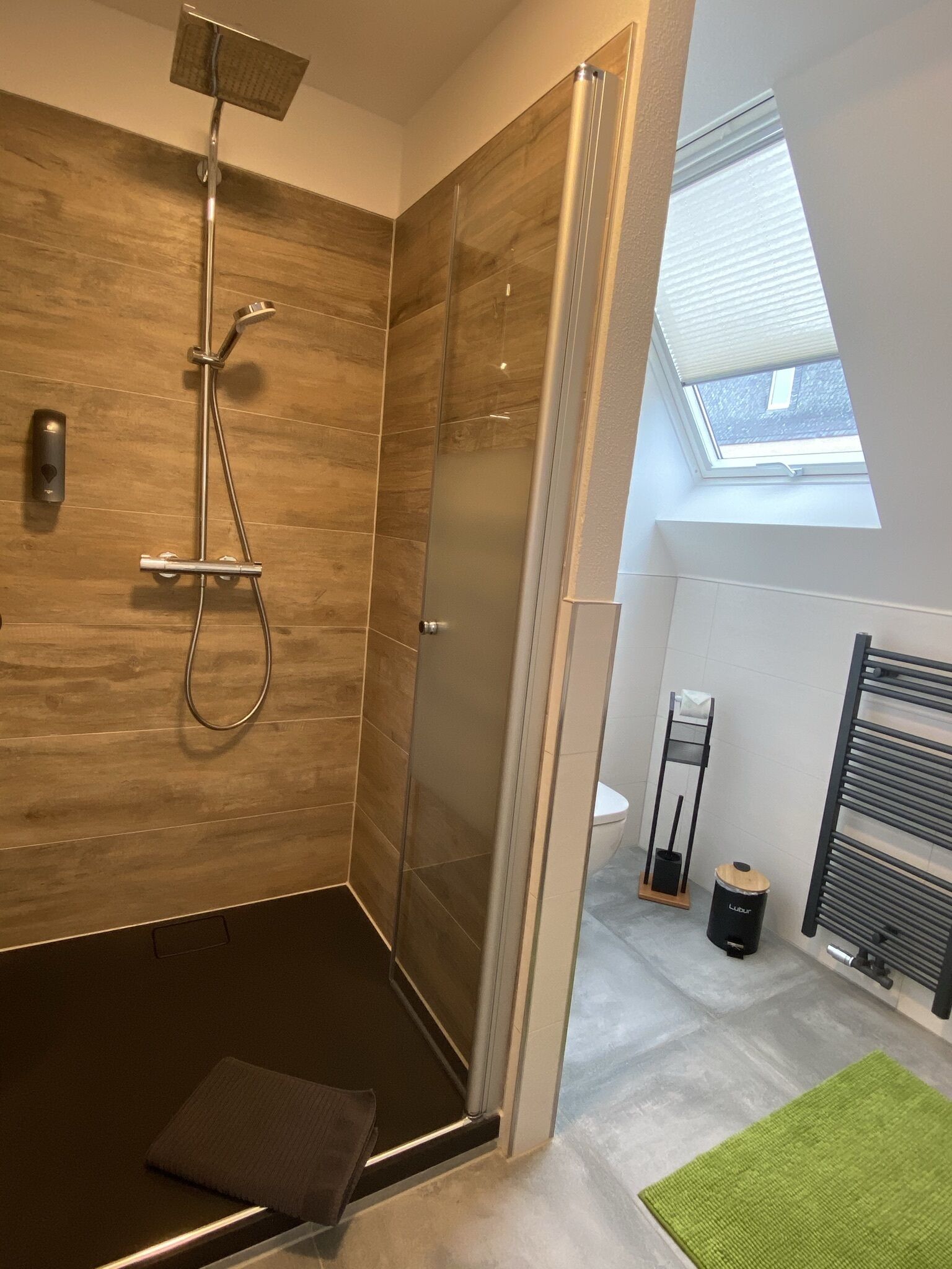 A modern shower with a glass door, a small step leading into the shower, and a skylight above the toilet.