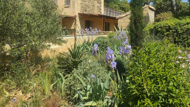 A stone building with a balcony, surrounded by lush greenery and purple flowers.