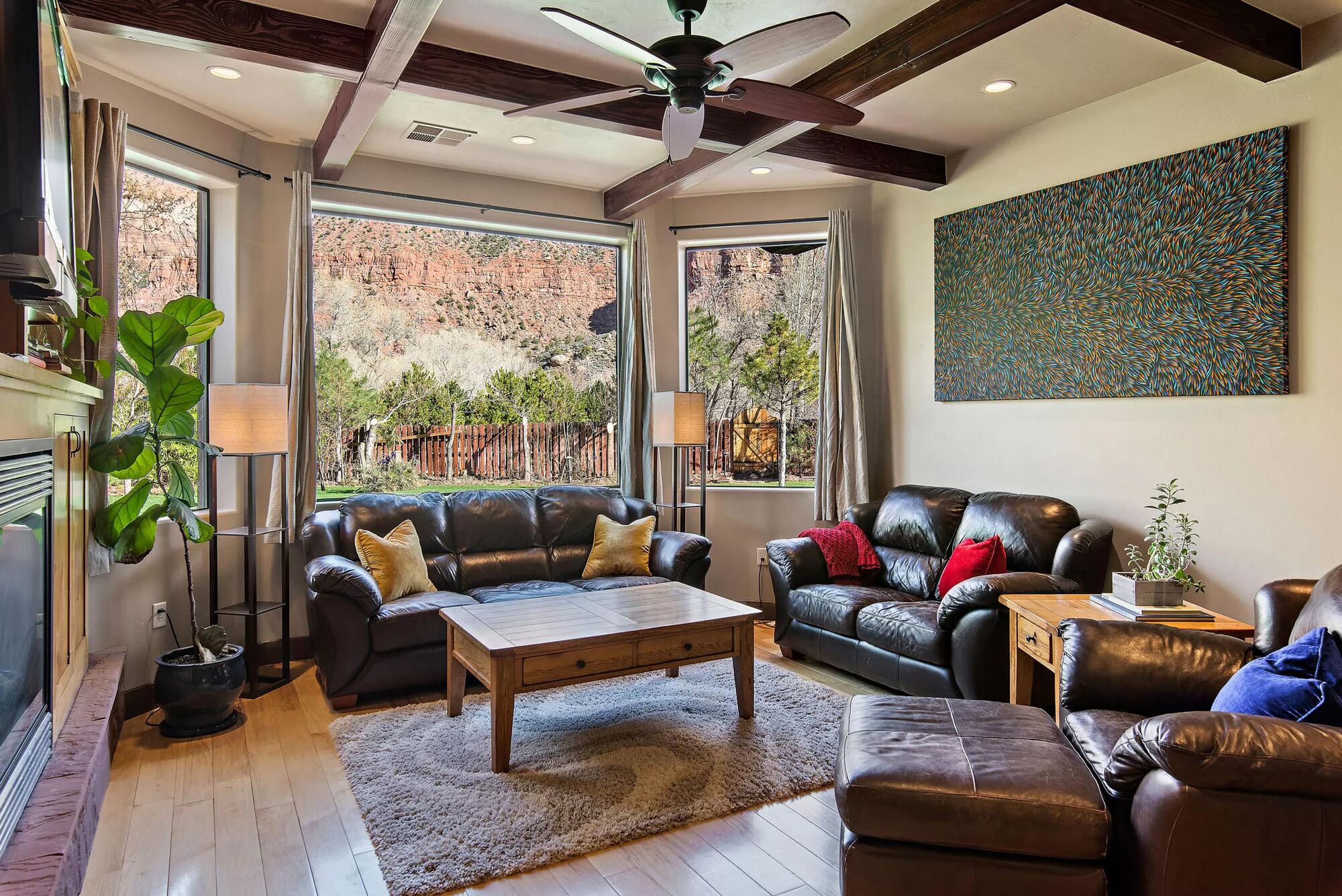 电视、壁炉、DVD 播放器、书