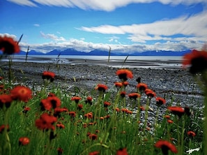 A beach with red flowers in the foreground and mountains in the background.