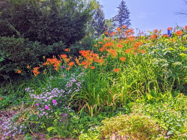 Escape to a serene garden oasis surrounded by vibrant flowers and lush greenery.