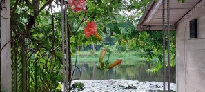 Lake view - Village Homestay (Kumphawapi)