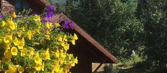 McKinley Creekside Cabins & Cafe'-The Carlo Loft