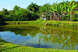 Área da propriedade