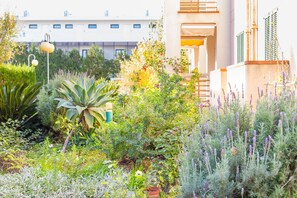 Property grounds - Voramar 2G - Nice apartment with communal pool in Port de Pollença (Port de Pollença)