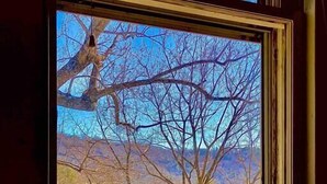 A window with a view of bare trees and a clear sky.
